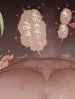 Code Geass Sennou Akuochi Do M Muke NTR Choukyou CG Shuu