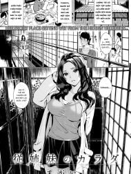 Cơ thể của anh họ [Itoko no Karada]