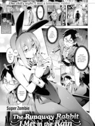 Yasagure Usagi to Ame to Boku