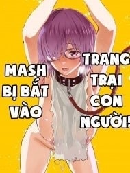 Mash bị bắt vào trang trại con người!