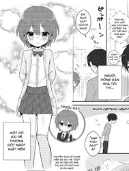 Chuyện tình của đôi anh em họ [Onnanokodattara...; 女の子だったら・・・]