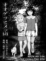 Câu chuyện về ngọn núi của công chùa lồng đèn. [The Mountain Of Amputee Princesses]